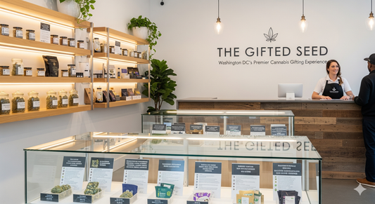 How to Buy Weed in DC: Legal Options and Top Dispensaries