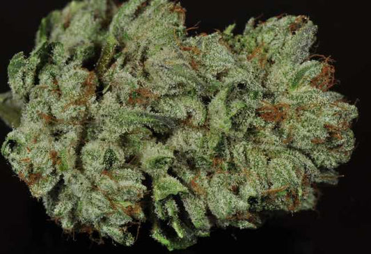 Alien OG Affordable Hybrid - DC Gift Exotic