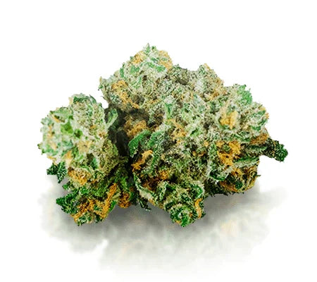 Blue Dream Affordable Sativa - DC Gift Exotic